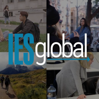 IES Global four business lines