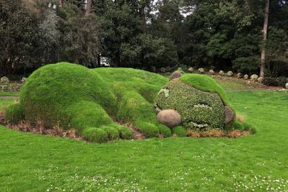 A picture of a sleeping beast made out of bushes in the Jardin des Plantes