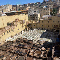 Overlook of the Fes Tanneries, brown circles full of dyes 