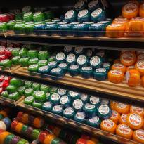 Array of cheeses in many colors on display in a shop