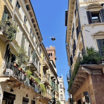 Terraces above stores in Verona