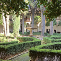 Garden with fountain, trees and pentagonal hedges