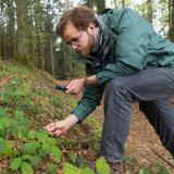 student in Freiburg forest environment sustainability with magnifying glass