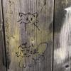 Pen/ink illustrations of two cats on vertical wood slats. 