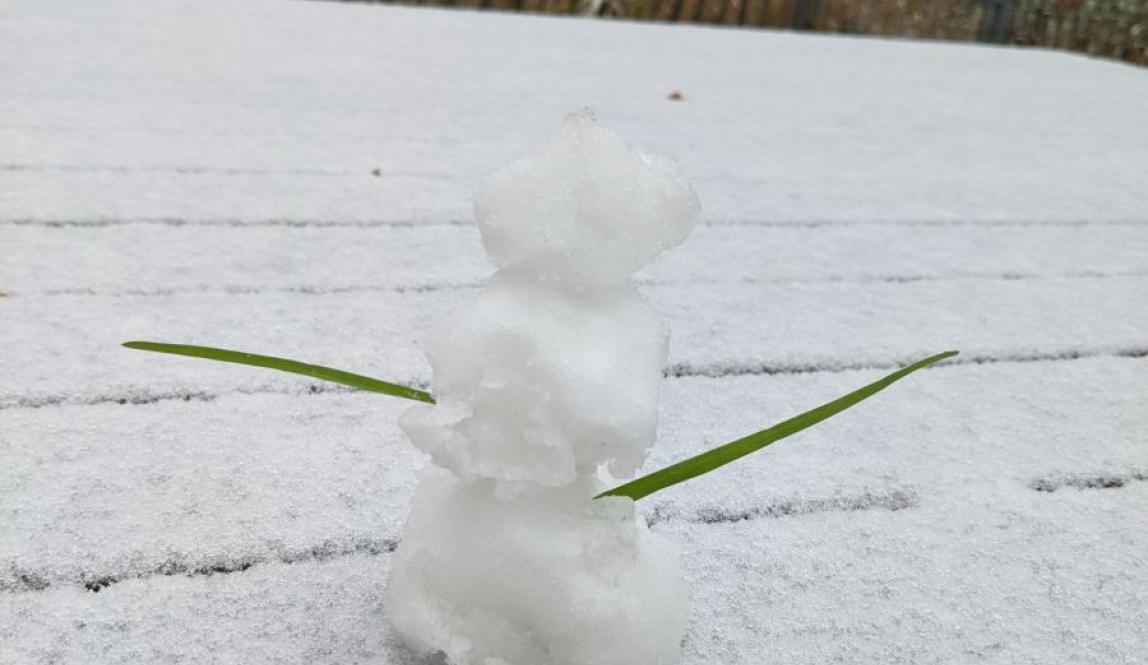 The first (and smaller) of my two snowmen.