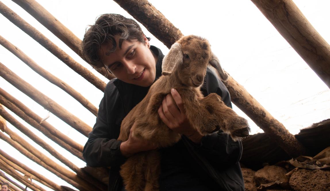 A boy holding a young goat