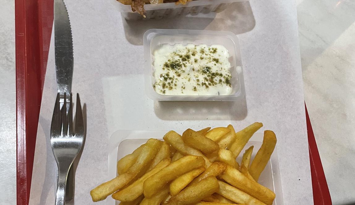 Picture of Kebab and fries