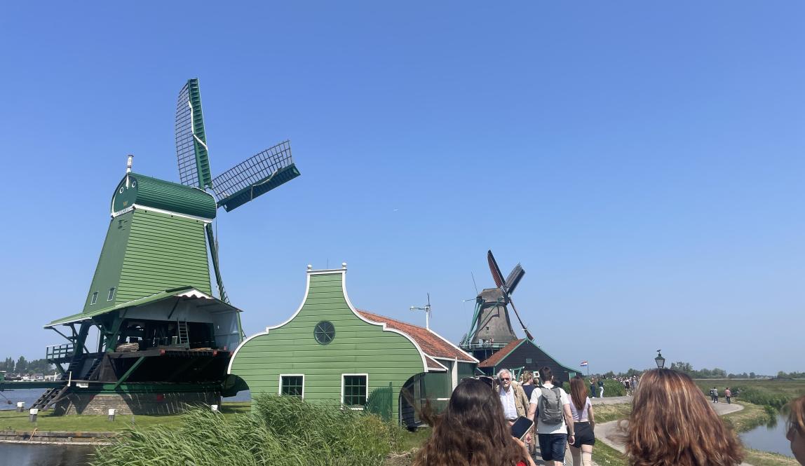 Windmills, green, in Zaans Schanse 
