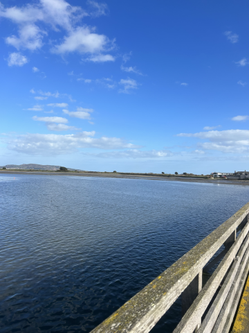 View of water and bridge to get onto Bull Island