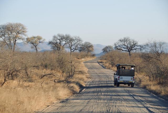 Students drive through Kruger National Park in South Africa.