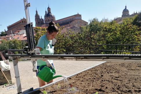 a student watering plants on CommunitIES Day Salamanca
