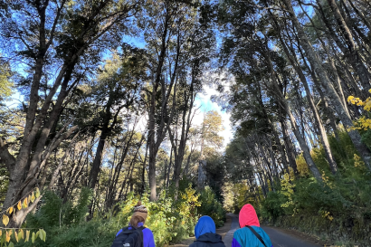 3 girls walking along the road surrounded by trees