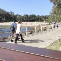 A picture of the path that leads to Shelly Beach from Manly 