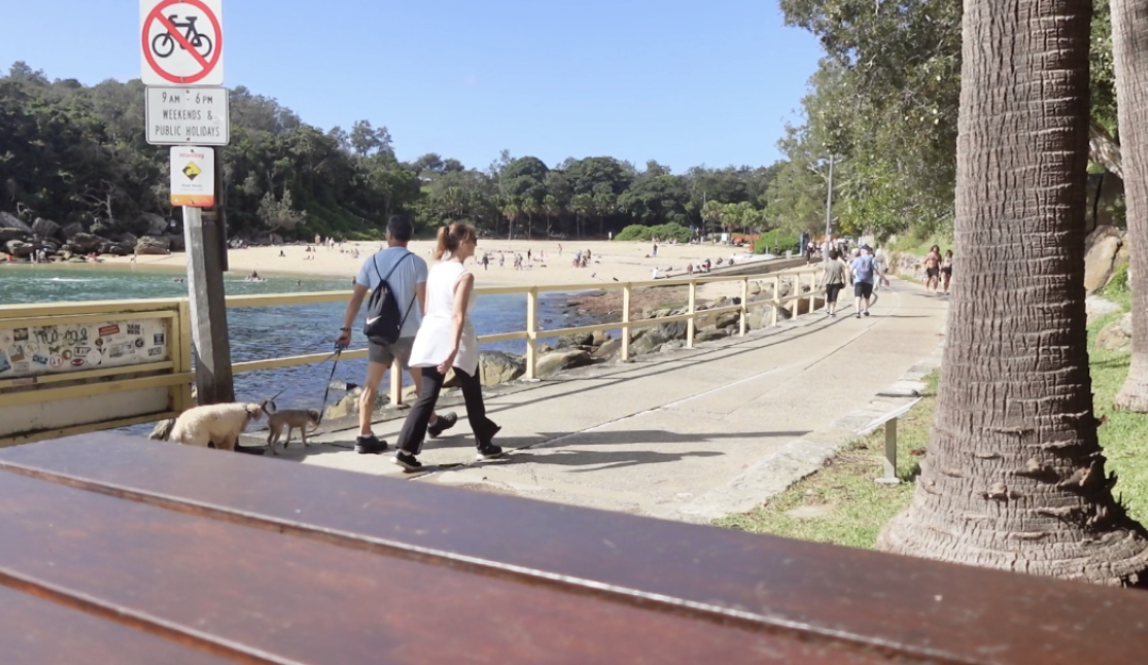 A picture of the path that leads to Shelly Beach from Manly 