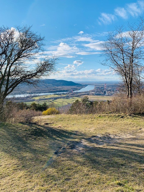 a view from top of elisabethhohe on the bisamberg and danube
