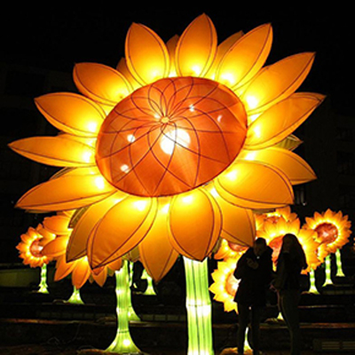 light up orange flower amsterdam