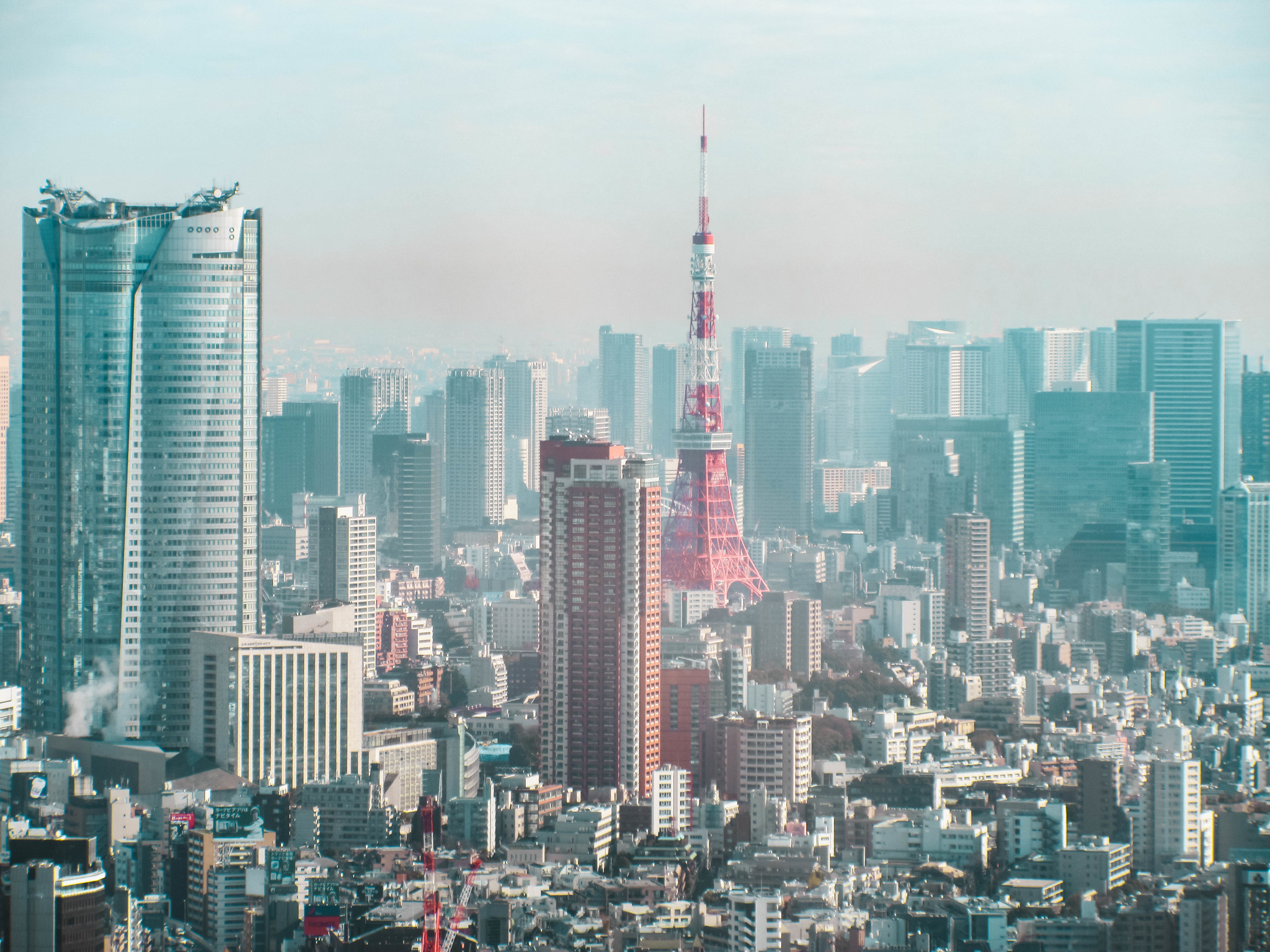 Tokyo Linguists