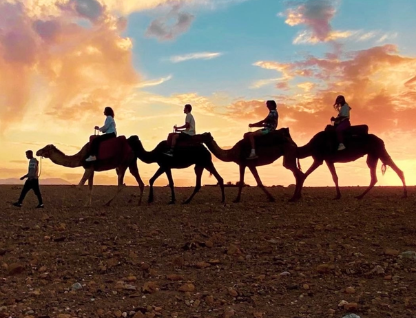 People riding camels in desert