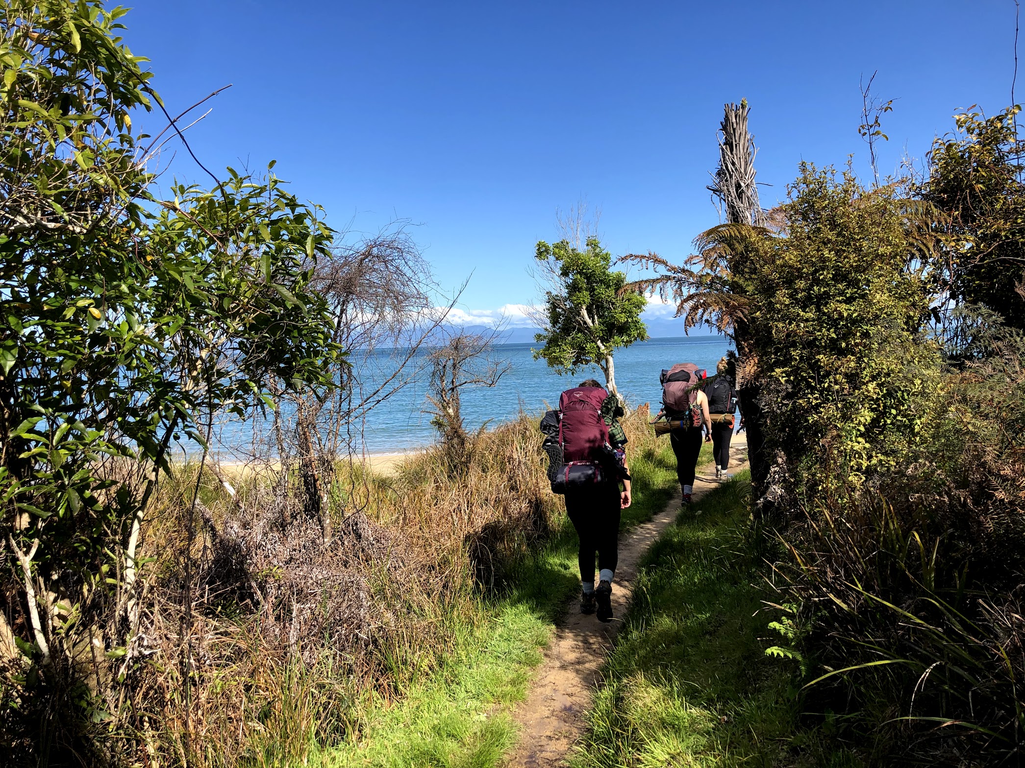 The Great (Walk) Goodbye | IES Abroad