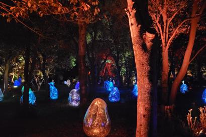 Picture of teamLab Botanical Gardens in Osaka, there are egg-shaped figured that are lit in various colors.