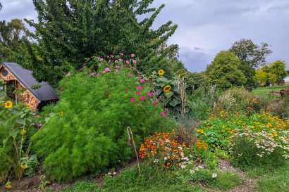 A green, thriving garden with flowers sprinkled throughout, and a small garden shed in the background. 