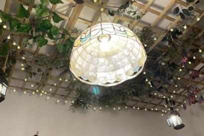 An image of the fake vine and light decorations on the ceiling of one room in the café La Tienda de los Unicornios.