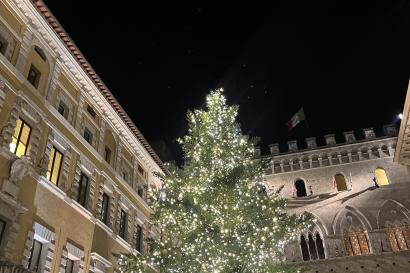 Photo of a Christmas tree in Siena 
