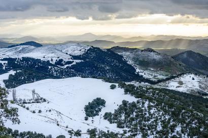 Ifrane National Forest covered in snow