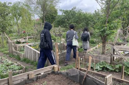Three students walk around a community garden in Berlin