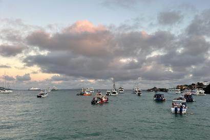 boats in the harbor at Santa Cruz