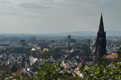 Landscape photo of Freiburg, trees and faraway buildings