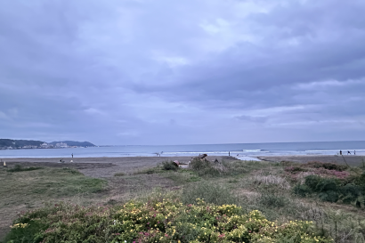 Kamakura Yuigahama Beach pictured from the boardwalk, nearing dusk. The boardwalk is lined with yellow and pink flowers, then sand more in the distance.