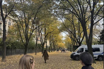 Picture of the leaves falling in Paris