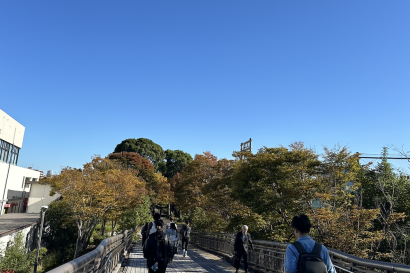 Pathway to Kanda University, with autumn foliage
