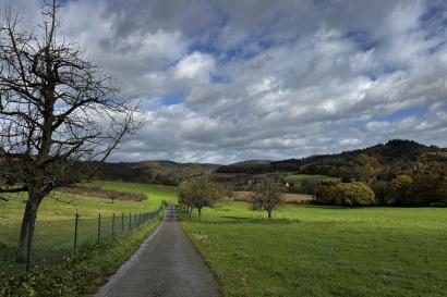 An open plain with a road dividing it and trees in the background