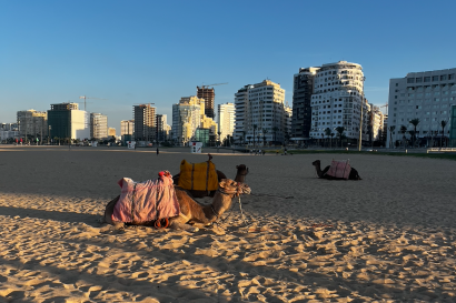 Tangier Beach with a camel