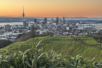The skyline in Auckland as the sun is setting and bright green grass in the foreground