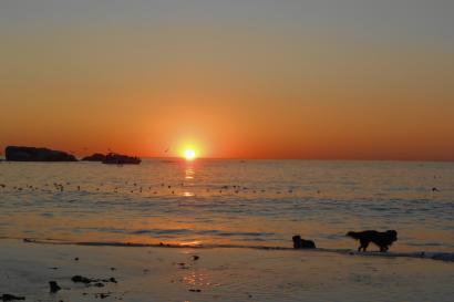 Sunset over the ocean at Clifton Beach