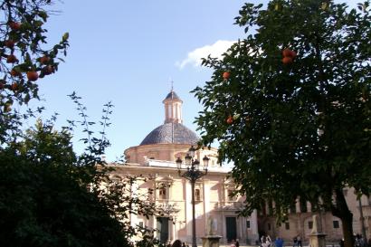 Photo of the Real Basílica de Nuestra Señora de los Desamparados from an orange tree courtyard across the plaza during a sunny day