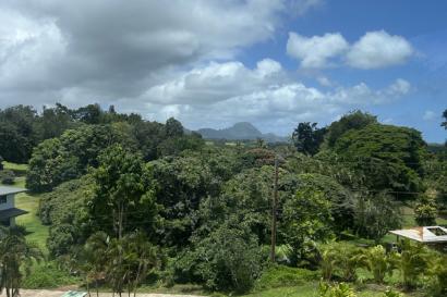 View from my house in Hawaii