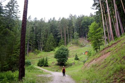 Man standing in front of trees
