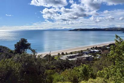 An overhead shot of Onetangi Beach with the surrounding houses and forest.