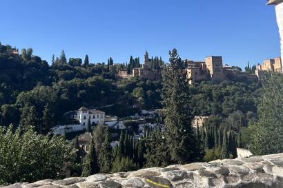 On top of a hill and surrounded by trees lies the Alhambra