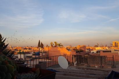 1. Sagrada Familia at dusk, illuminated against a dark blue sky.
2. Park walkway with fallen leaves and a statue on a bench.
3. Rooftop view at sunset with satellite dishes and cityscape. This alt text was added with Al; accuracy may vary.