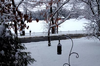 Black suitcase beside orange hiking boots on a light floor.

Woman in black coat smiling at night, cityscape view in background.

Snow-covered yard with bare trees, a bird feeder, and a distant road. This alt text was added with Al; accuracy may vary.