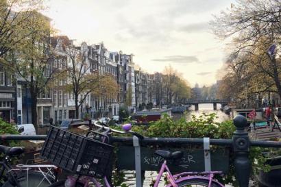 Purple bicycle on a bridge overlooking a canal in Amsterdam, lined with trees and buildings. This alt text was added with Al; accuracy may vary.