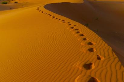 1. Snow-capped mountains at sunrise, purple sky, silhouette of a house.
2. Sunlit forest with snow-covered trees under a clear blue sky.
3. Snowy forest path with frosted trees, serene winter scene.
4. Panoramic view of a lake surrounded by snowy mountains, dusk sky.
5. Footprints in golden desert sand, rolling dunes under a clear sky. This alt text was added with Al; accuracy may vary.