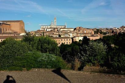 Comic strip of a boy praising the scenery and host family; portrait of a smiling man; cityscape with a church. This alt text was added with Al; accuracy may vary.