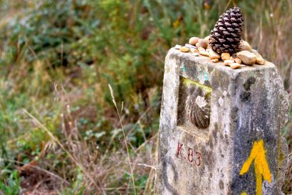 Tokyo skyline with Rainbow Bridge over the bay.

Sunlit path lined with trees, people walking and cycling.

Stone marker with yellow arrow and pine cone on top. This alt text was added with Al; accuracy may vary.