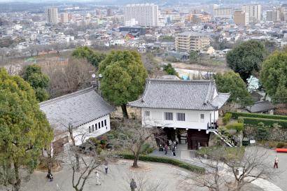 Receipt on a table with "DooM Gallery" logo and food items listed.

 This alt text was added with Al; accuracy may vary.